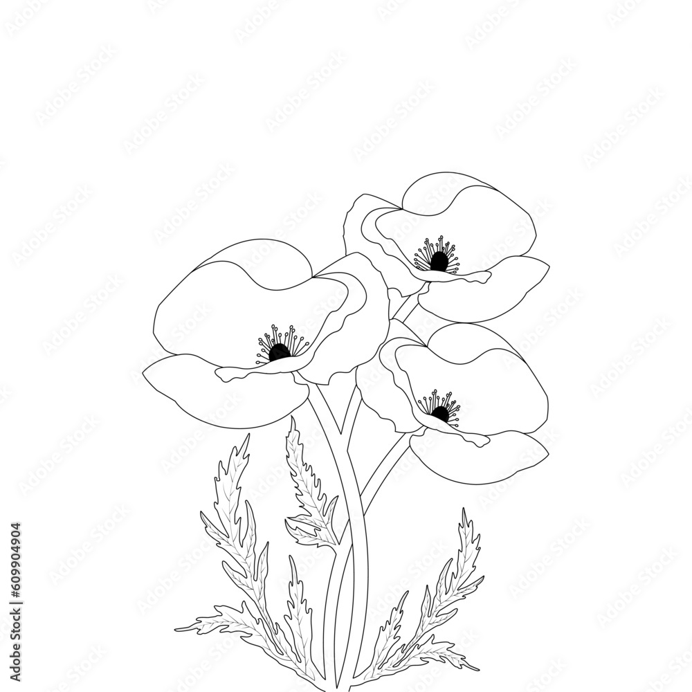 Doodle Coloring Page Of Poppy Flower Drawing Illustration Vector