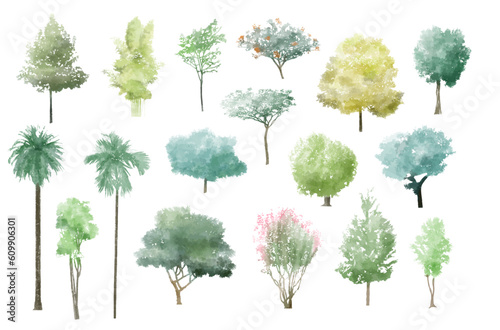 tree watercolor vector illustration  Minimal style tree painting hand drawn  Side view  set of graphics trees elements drawing for architecture and landscape design. summer