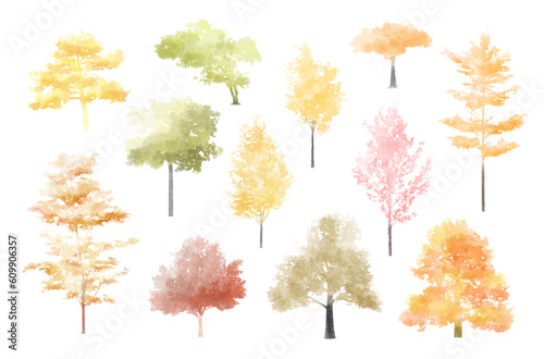  autumn, spring tree watercolor vector illustration, Minimal style tree painting hand drawn, Side view, set of graphics trees elements drawing for architecture and landscape design. Tropical