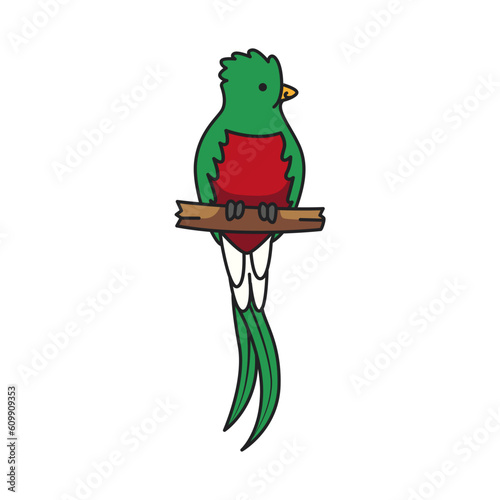 cute quetzal on branch