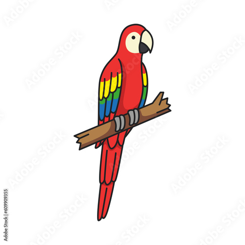 parrot on a branch