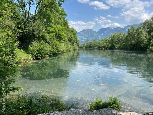 Summer atmosphere in the Nature and landscape protection area Old Rhine  Diepoldsau - Switzerland  Vorfr  hlings Stimmung im Natur- und Landschaftsschutzgebiet Alter Rhein  Schweiz 