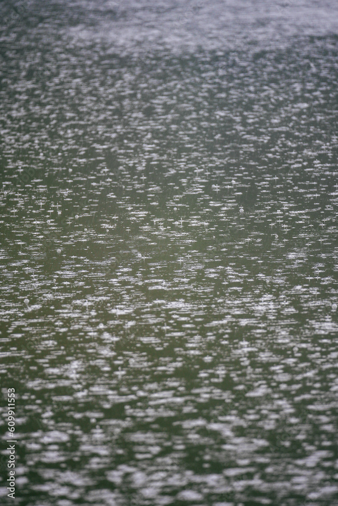 Raindrops are falling into the lake. background Raindrops are falling into the lake. background