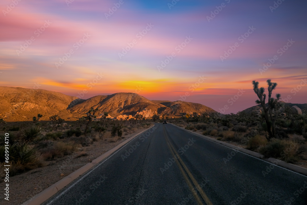 Fototapeta premium View from road trip with Joshua trees national park at sunset landscape around. California, USA