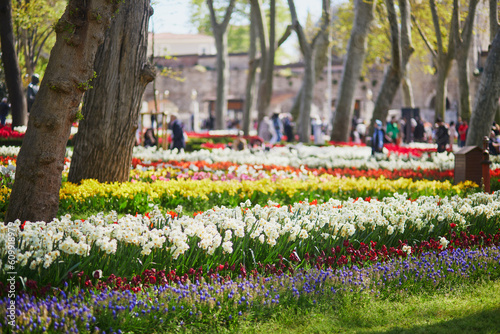 Canvas Print Various flowers blossoming in Gulhane park, historical urban park in the Eminonu