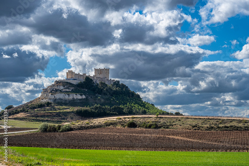 Wine landscape in the Ribera del Duero appellation of origin area with the castle of Peñafiel in the background in the province of Valladolid in Spain