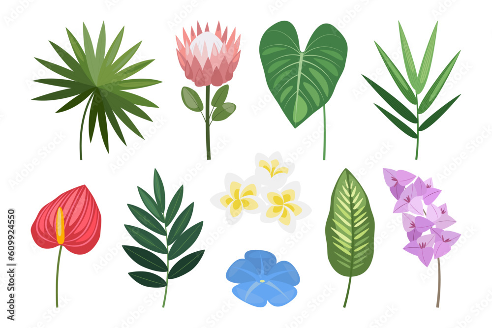 Tropical set of hand drawn flowers and leaves. Vector botanical illustration. Tropical set of hand drawn flowers and leaves. Vector botanical illustration.