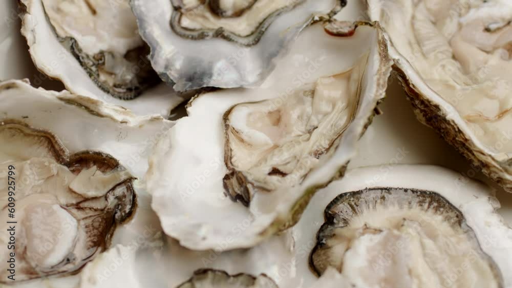Oysters on the Plate Rotating. Close Up, Slow Motion. Oysters on the Plate Rotating. Close Up, Slow Motion.