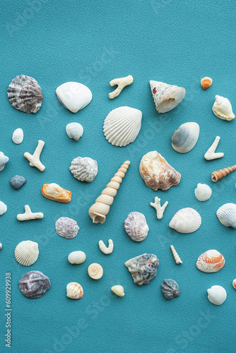 Sea shells pattern. Summery seashells background.