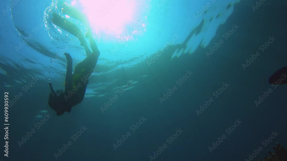 still view bottom to top of a female asian free diver wearing long fins diving down from surface of sea water into the blue ocean within the spot of sunlight and blue Damselfish at foreground day time