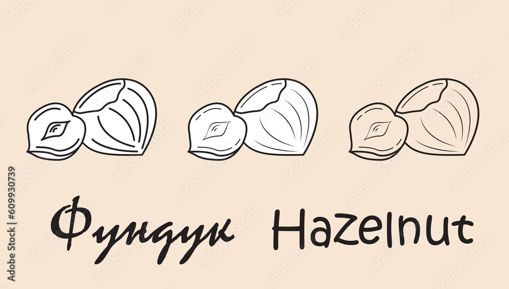 A set of objects depicting a hazelnut with the inscription 