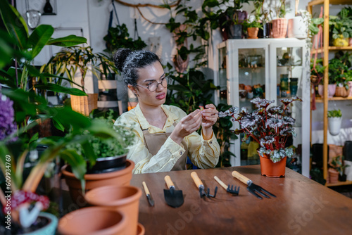African american botanist female entrepreneur store owner looking for midges on the leaves of a potted plant while sitting in her workplace in flower shop.