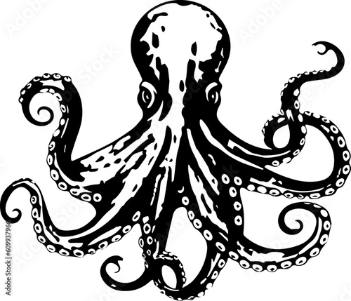 octopus animal black images