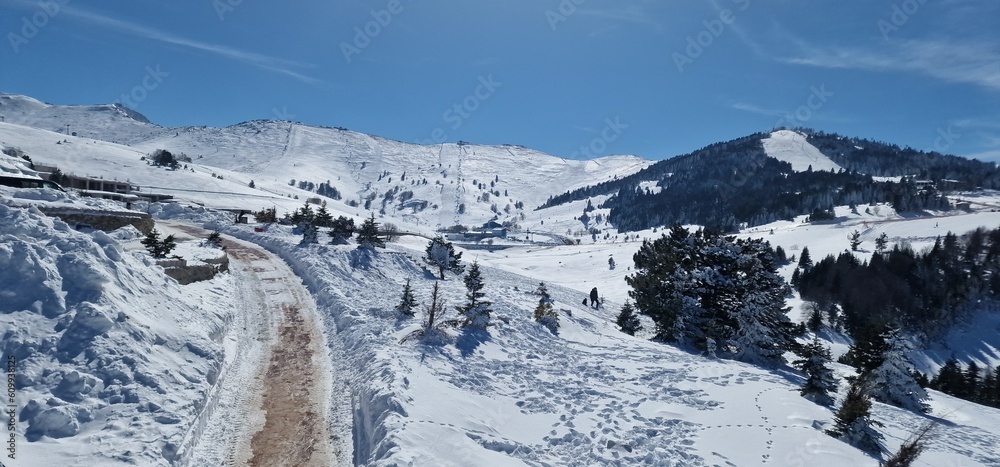 A beautiful mountain landscape with a walkway covered in snow