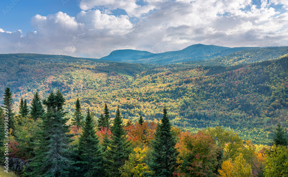 Fototapeta premium Autumn colors from the Height of Land overlook on the Rangeley Lakes Scenic Byway - Maine