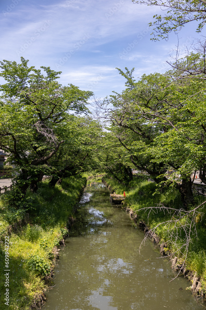 Fototapeta premium small river surrounded by meadow and trees in the middle of the road.