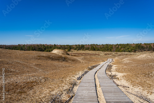 Wooden footpath on the Dead Dunes  or Grey Dunes  Curonian Spit  Neringa  Lithuania