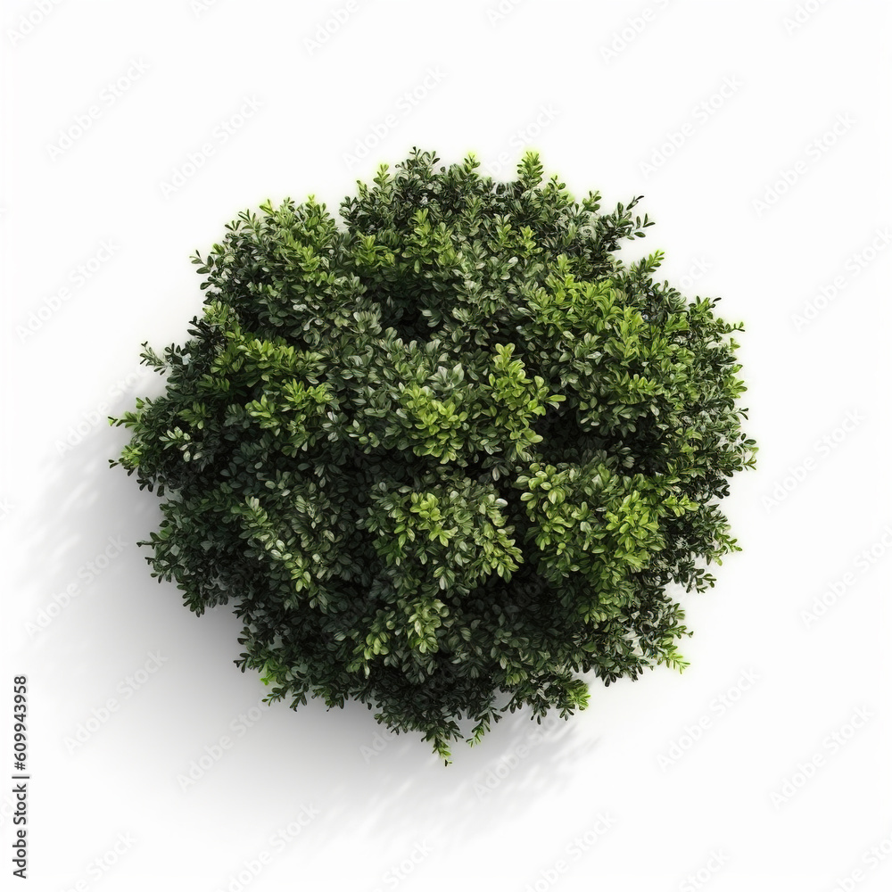 Obraz premium Circular trees isolated on a white background,created with generative ai tecnology.