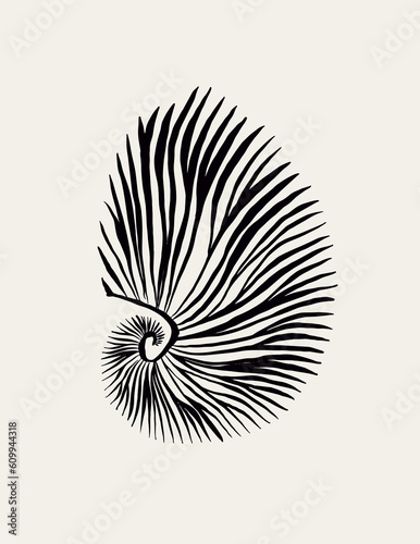 Seashell, sea shell, nature ocean aquatic underwater vector. Hand drawn Seashell marine engraving illustration on white background