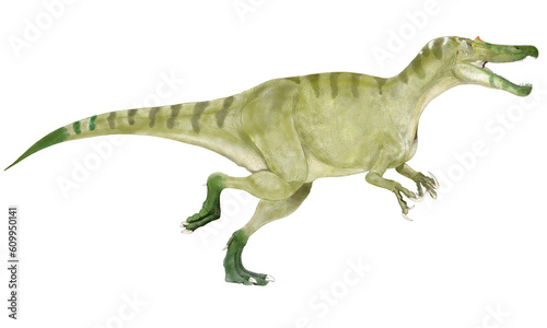 中生代白亜紀前期のイギリスに生息していた肉食恐竜。ガビアルのような顎と歯を持つ主に魚食性の大型恐竜。スピノサウルス科ではあるが、生息環境から、潜水して自由に泳ぎ回れる深さの河川は少なかったと思われ、最近の学説にあらわれたスピノサウルスのような潜水泳に適した体形ではなかったと思われる。バリオニクスは『重々しい爪』を意味する。 © Mineo