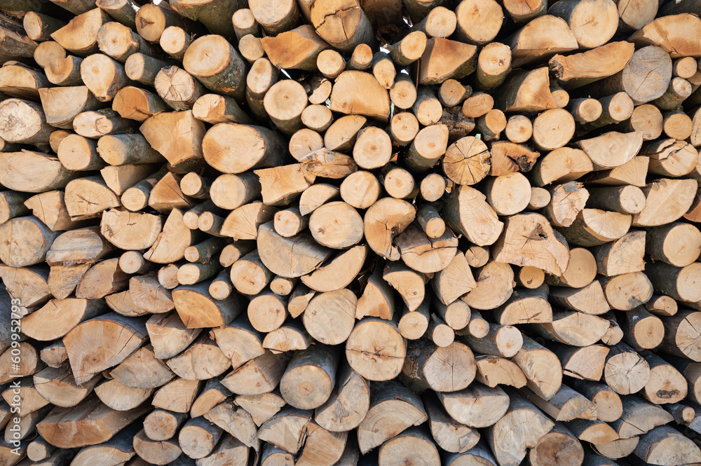 Pile of wood logs Pile of wood logs