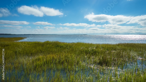 Popular Waterfront Park along the bay in Charleston, South Carolina © Fotoluminate LLC