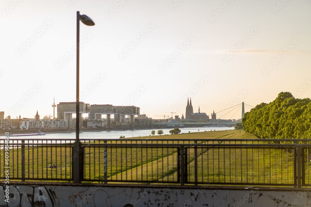 Romantische Sommerabendstimmung: Kölner Dom und Rheinufer bei Sonnenuntergang