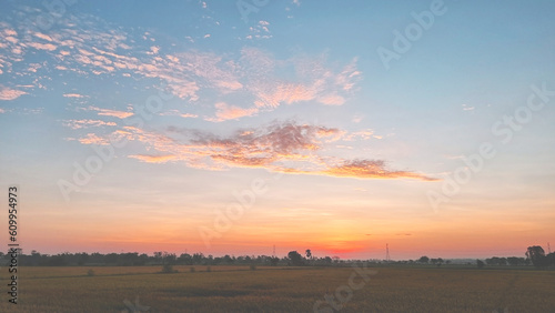 Sunrise in the morning over the fields, agriculture, fields, nature, clouds, grass, forest edge, rice, plants, trees, electric poles, technology, sky, wallpapers