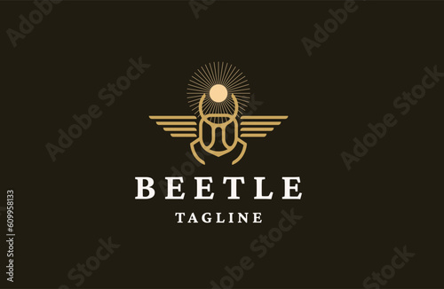 Beetle animal logo icon design template flat vector