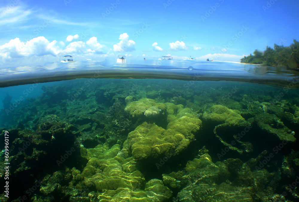a beautiful reef on an island in the caribbean sea