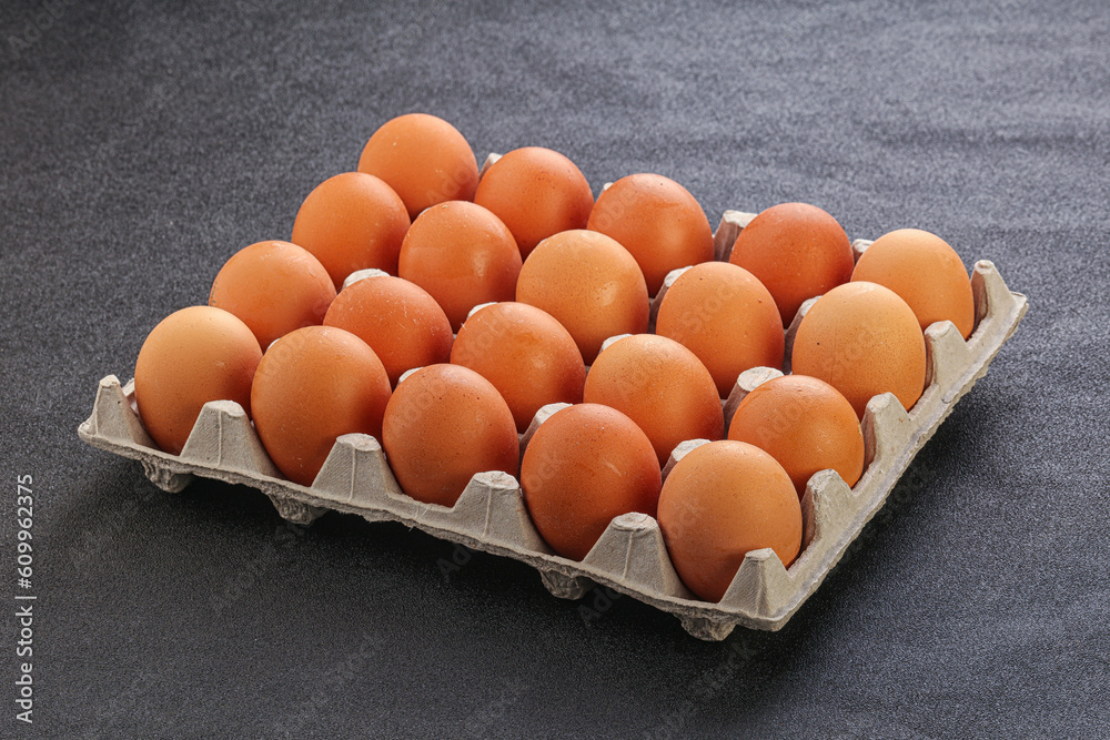 Organic chicken egg in the carton Organic chicken egg in the carton