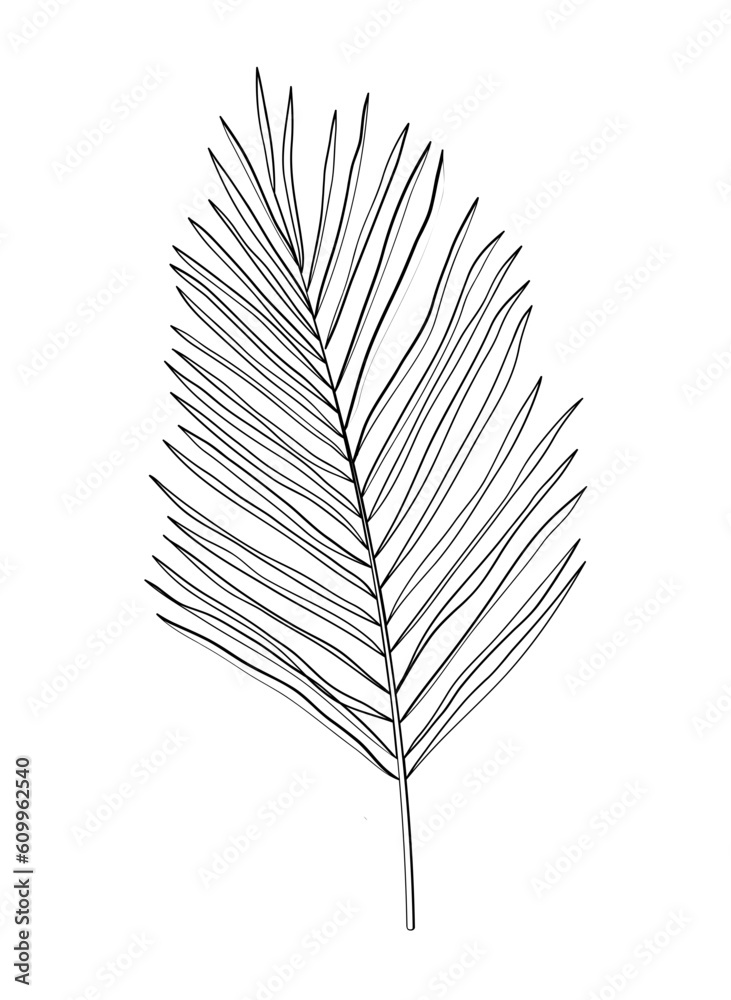 Wedding Outline Flower Decoration Wedding Outline Flower Decoration