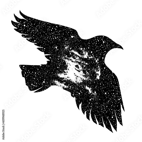 silhouette of a raven with a galaxy inside sketch
