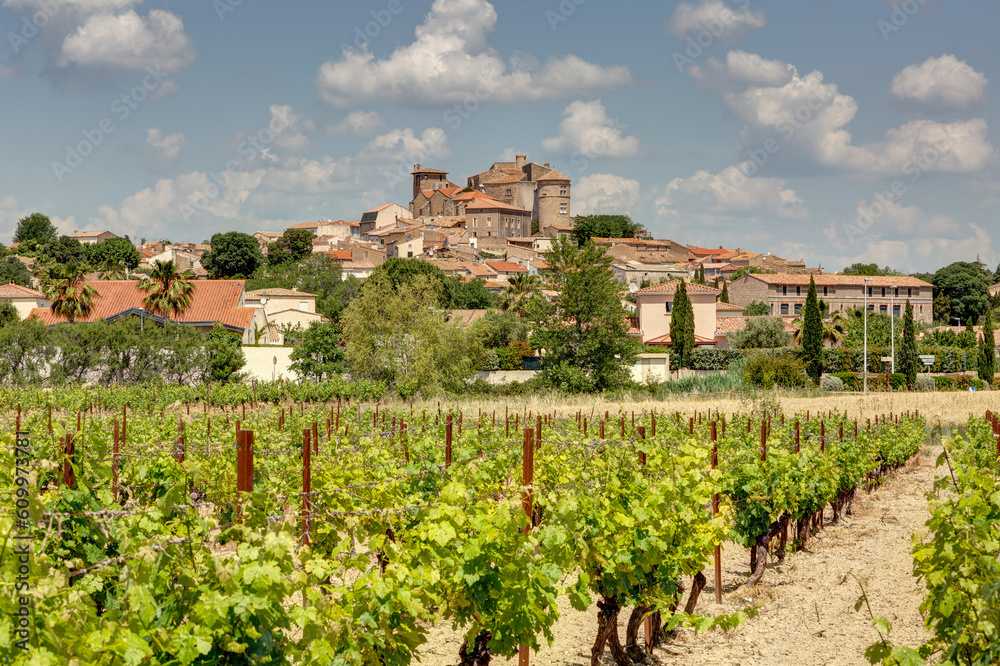 Vue sur le village de Puissalicon dans le département de l'Hérault - région Occitanie
