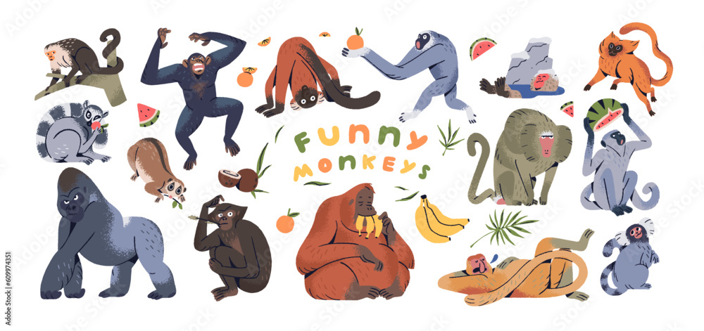 Fototapeta premium Cute funny monkeys set. Happy exptic jungle characters, apes species. Amusing adorable primates, gorilla, chimpanzee, capuchin, orangutan. Flat vector illustrations isolated on white background