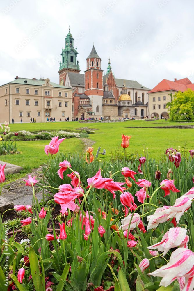 Cathedral of Saints Stanislav and Wenceslas in Wawel Castle in Krakow, Poland