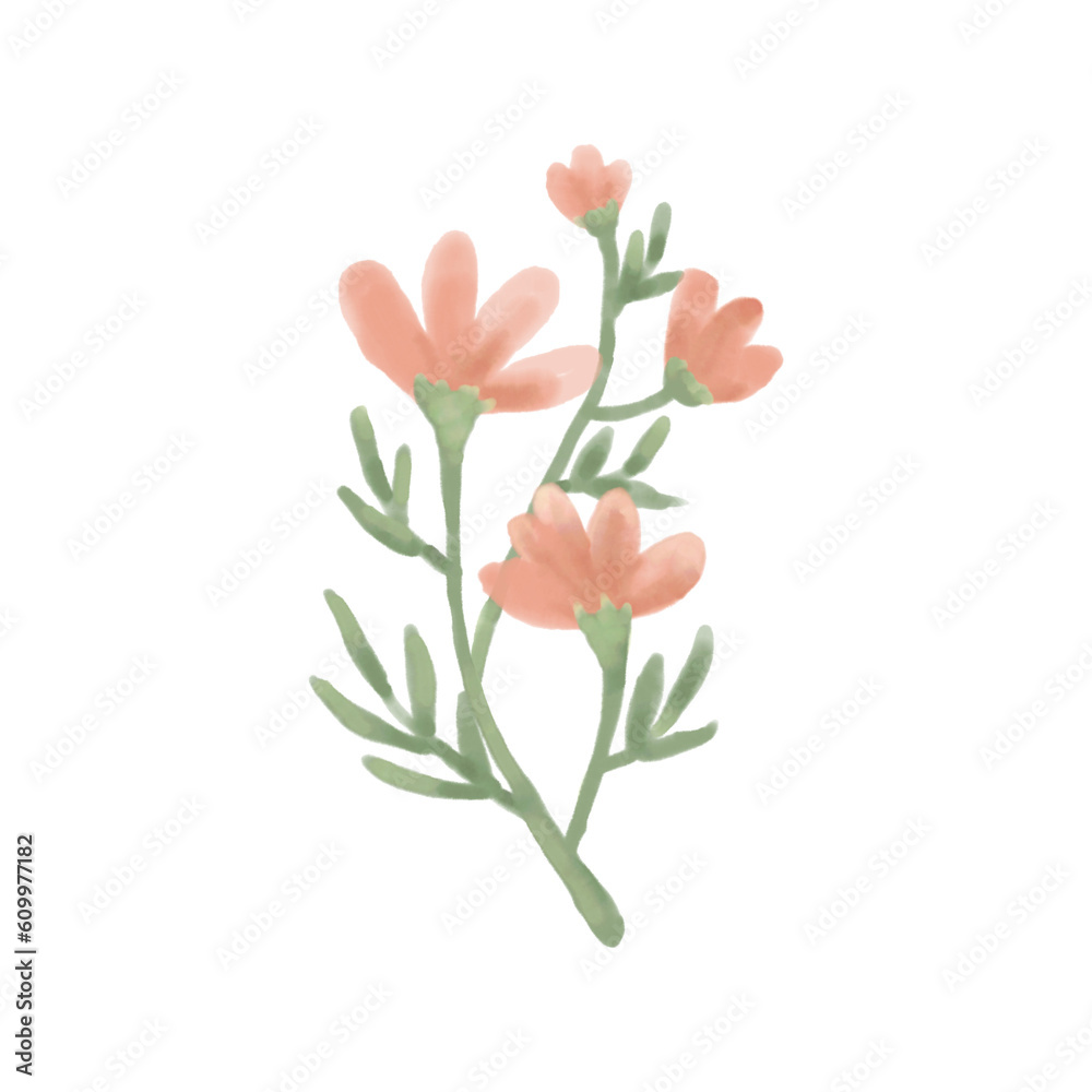 Fototapeta premium Flower water color