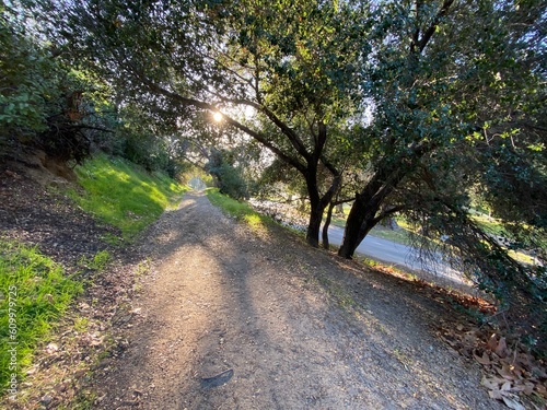 Foto griffith park path