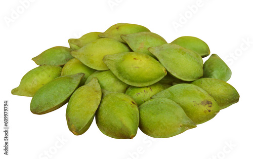 Natural Catappa bean pile with transparent background isolated