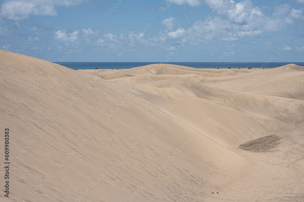 Natural landscape of the dunes of Maspalomas