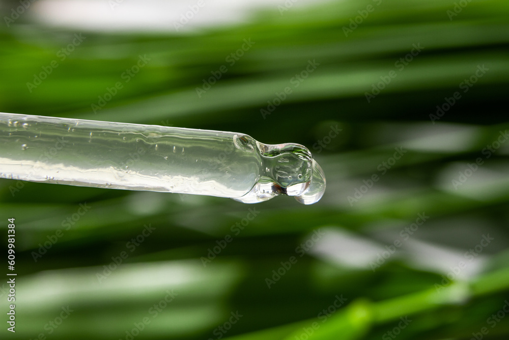 Dropping current transparent gel from an eyedropper against a background of green leaves Dropping current transparent gel from an eyedropper against a background of green leaves