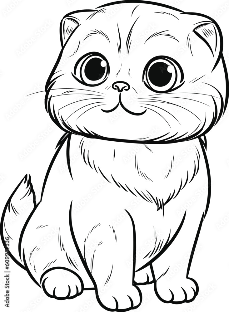 Scottish Fold Cat, colouring book for kids, vector illustration Scottish Fold Cat, colouring book for kids, vector illustration