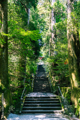 Stairs up to a Japanese temple in Hakone