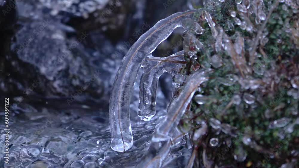 Water stream with ice forming on plants slow motion, Close up
Close up view from Everest, 2023
Water stream with ice forming on plants slow motion, Close up
Close up view from Everest, 2023
