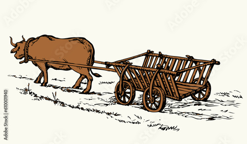 Empty cart drawn by oxen. Vector drawing