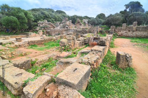 View of the ruins of the Roman city of Tipaza in Algeria