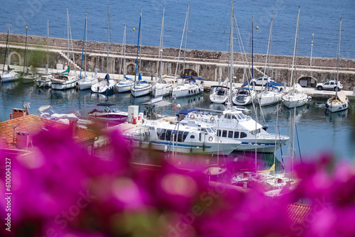 Bougainvillea out of focus in the foreground and the Port of Villefranche sur Mer in the background