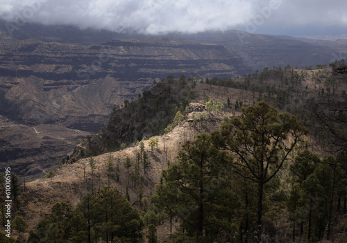 Gran Canaria, landscape of the southern part of the island, hiking route of ascent of Tauro mountain 