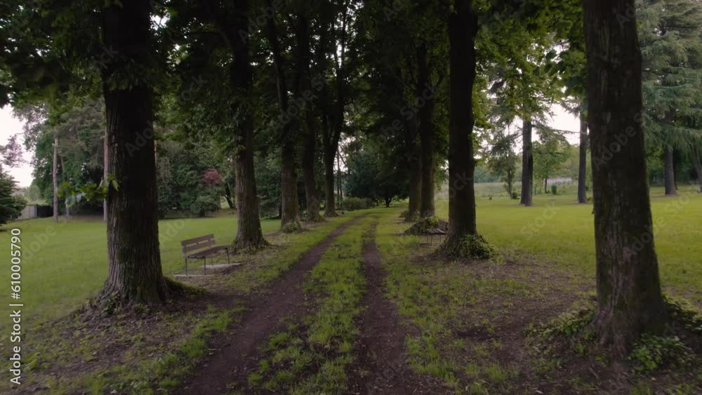 Drone flight in a tree-lined avenue with a path in the middle of a park in Italy, with no one inside