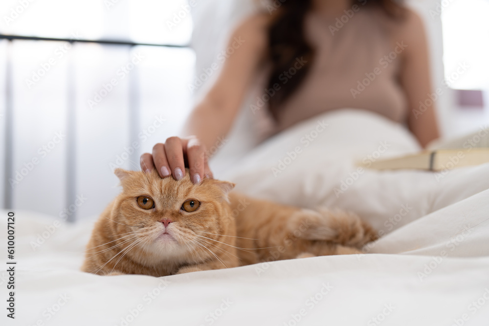 Beautiful Asian young woman pat her cat head while reading book in the bedroom at home. Female relaxing with her cute pet.
